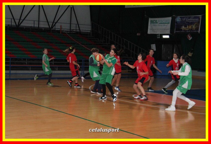 170107 basket 181_tn.jpg